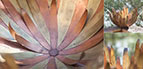 thumbnail image 4