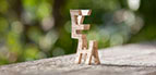 thumbnail image 4